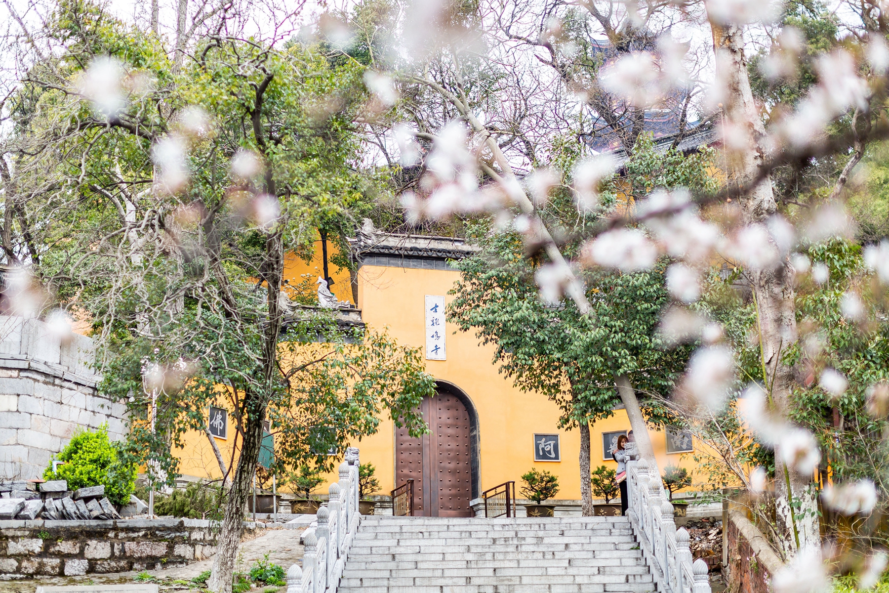 鸡鸣寺