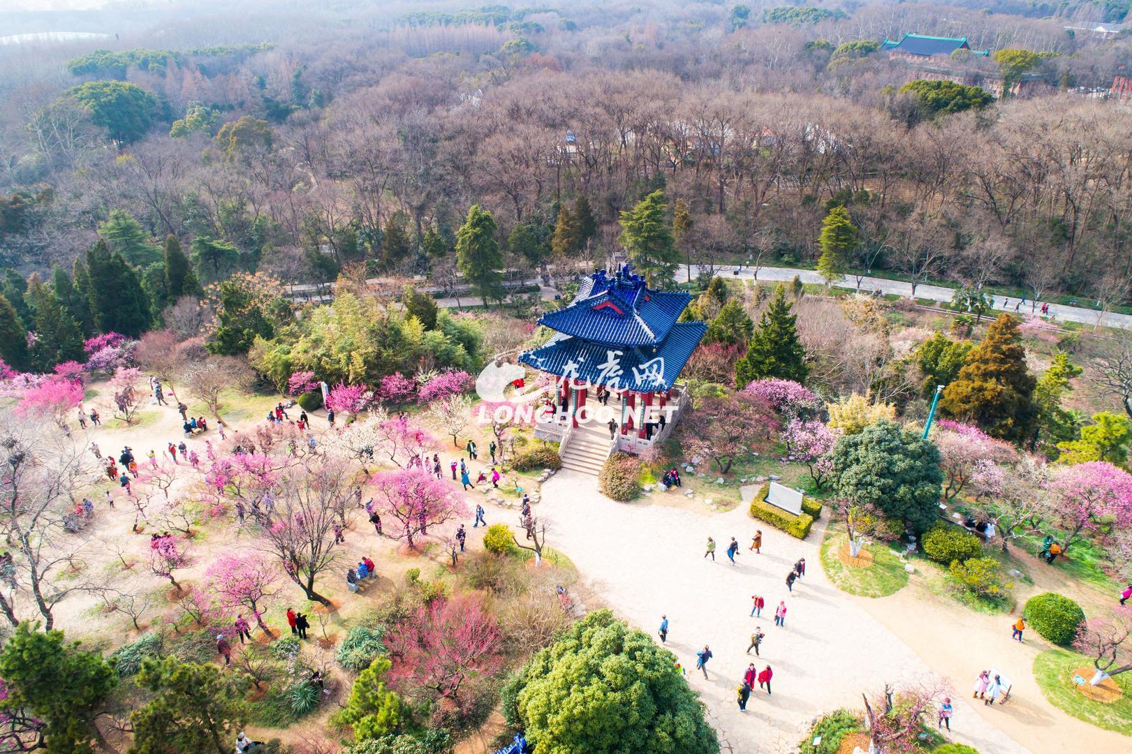 南京梅花山风景区航拍