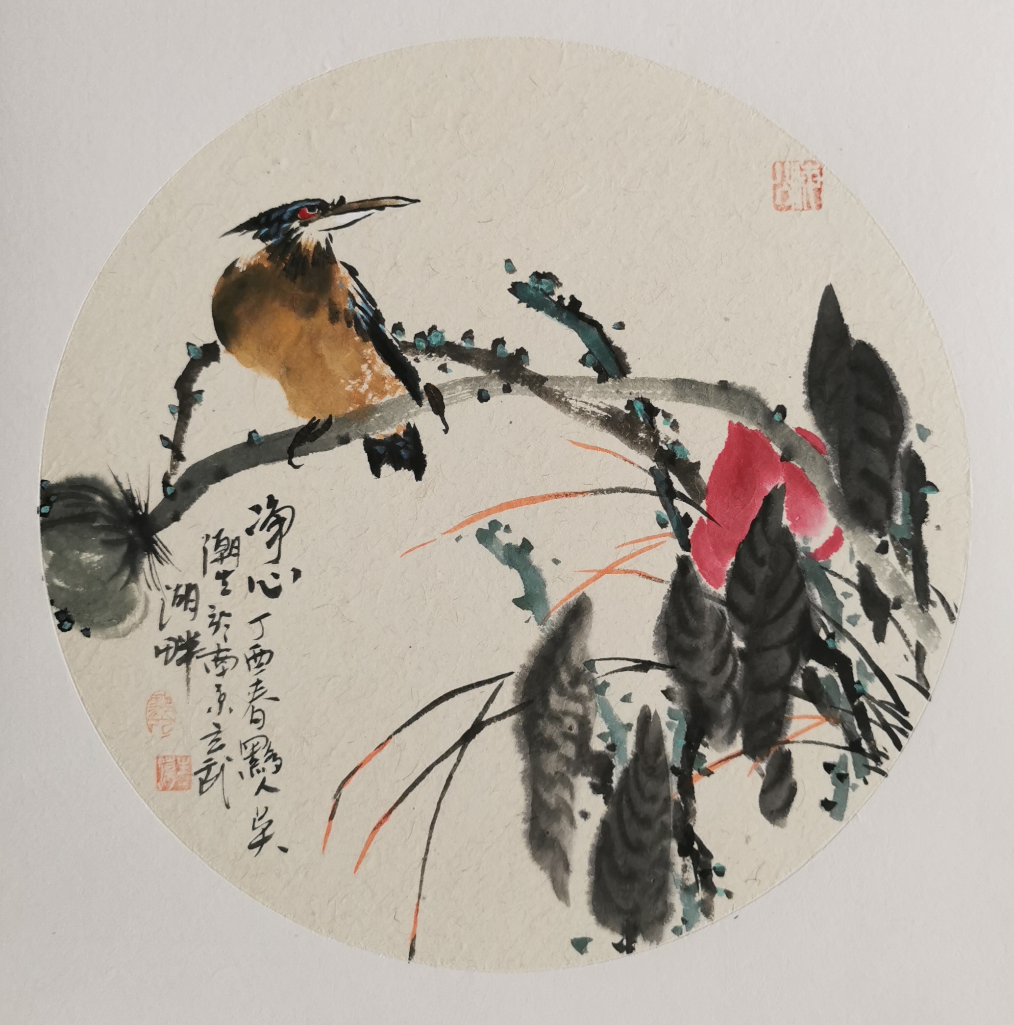 吴潮生写意花鸟画作《净心》