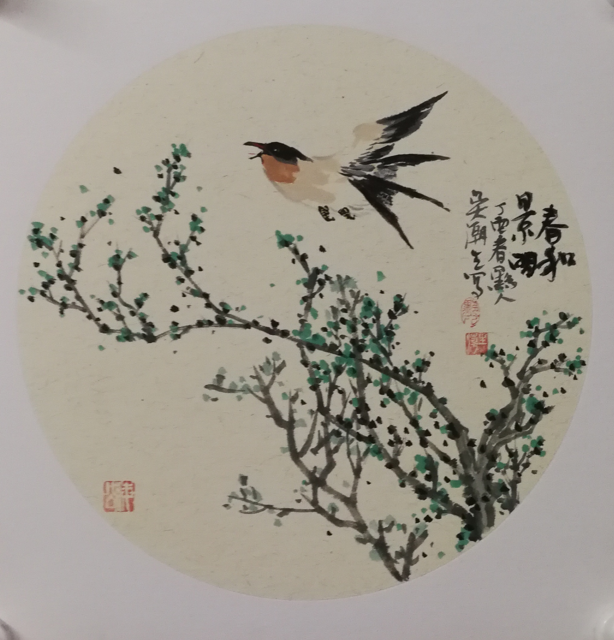 吴潮生写意花鸟画作《春和景丽》