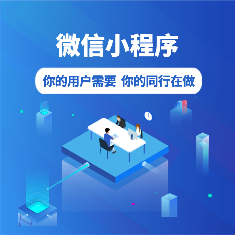 白小极 软件定制服务项目