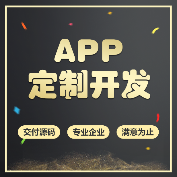 白小极 软件定制服务项目