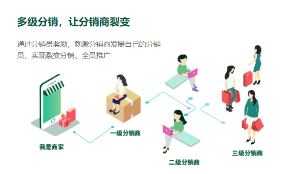 社交新零售商城新上架