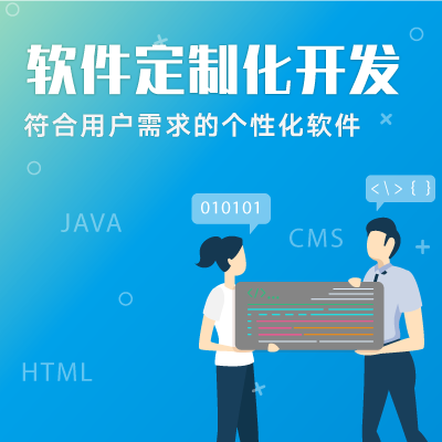 软件定制开发服务