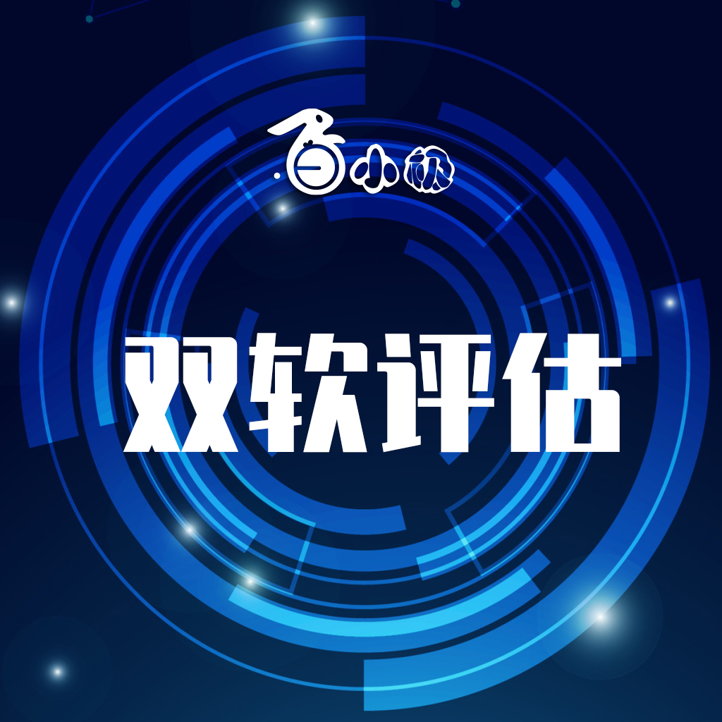 双软评估（Double—Software Assess）