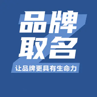 企业品牌公司起名产品品牌餐饮店铺取名字商标命名取名起名策划