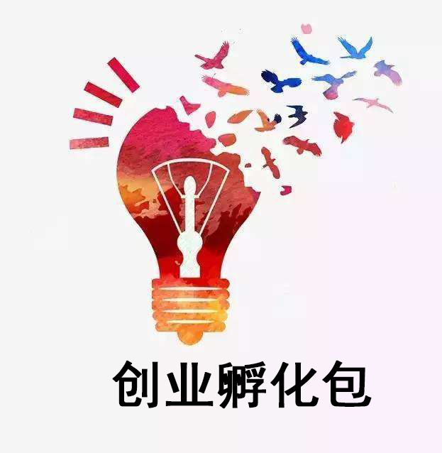 创业孵化包