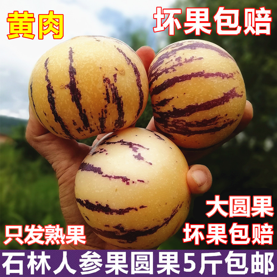 云南石林人参果圆果大果新鲜5斤包邮多汁人生果当季人叁果水果