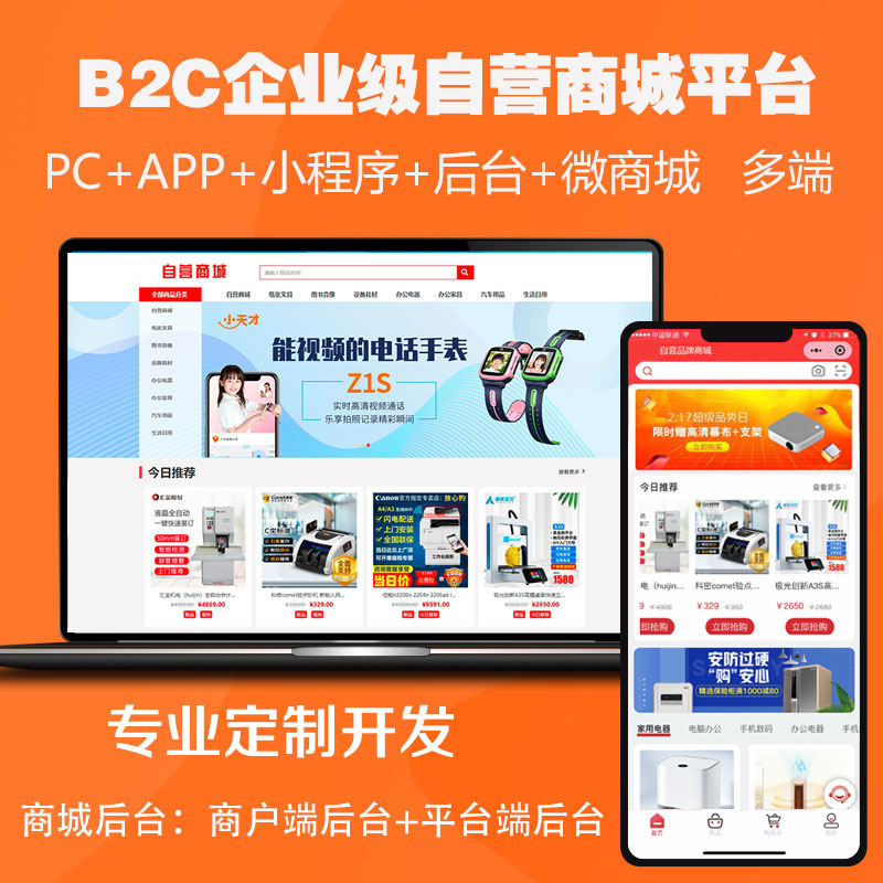 企业级自营商城平台小程序app系统软件开发搭建源码正版系统