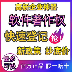 高新企业认定双软企业软件产品登记软件企业认定项目申报测试报告